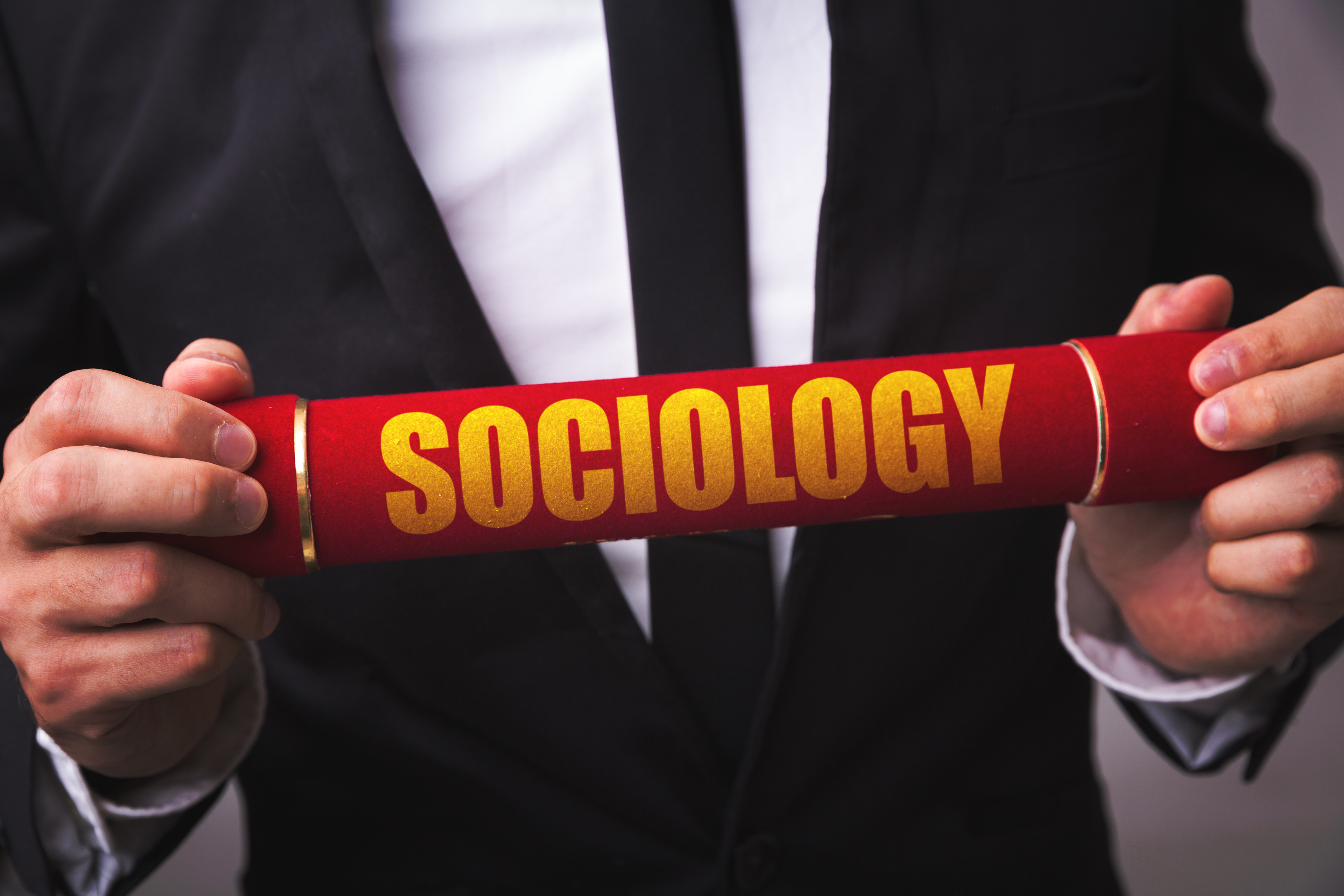 Career Path After Graduation in Sociology 